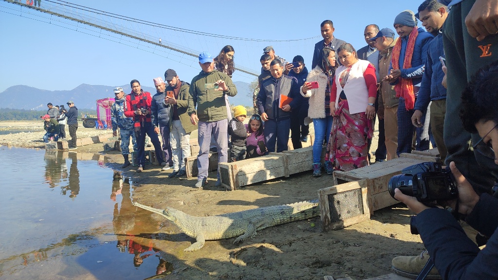 Ghadiyal Gohi_Rapti River Photo 21706892624.jpg